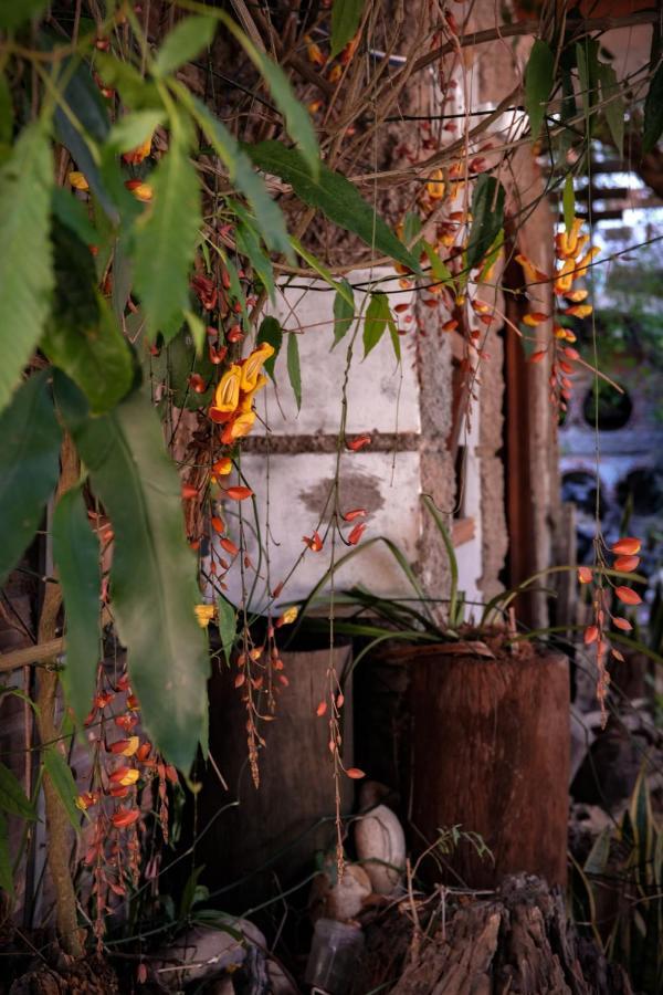 Y.O Inn コントゥム エクステリア 写真
